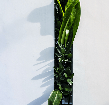 Как найти варианты оранжерей в каталоге и на сайте?