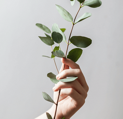 Можно ли использовать модели для установки в них джакузи или как крытый павильон для бассейна?