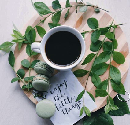 Как работают форточки с автоматическими проветривателями?