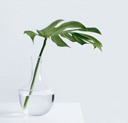 Протекает ли грин-хаус, если использовать его как беседку в дождь?