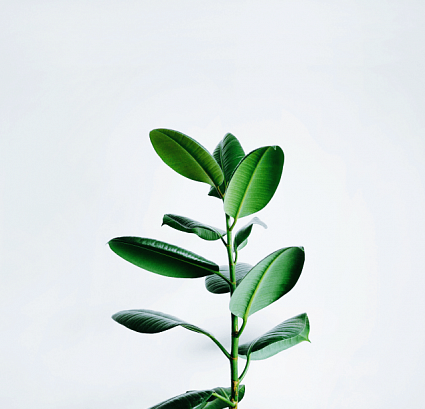 Что делать, если по какой-то причине сломалась форточка? И как вообще происходит обслуживание?